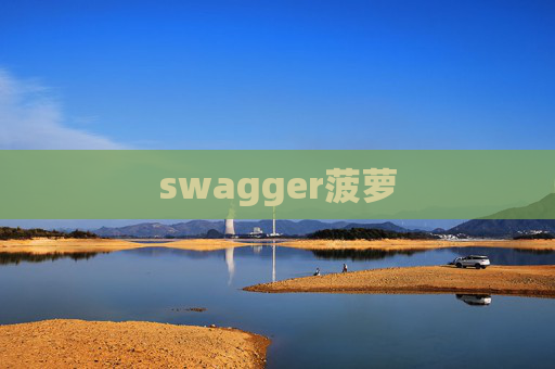 swagger菠萝 swagger菠萝