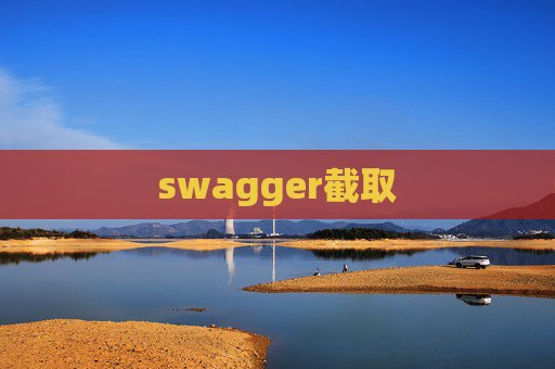 swagger截取